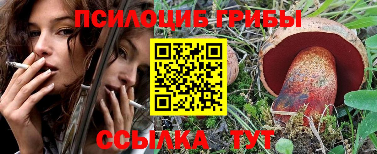 Южноуральск  купить закладку  Вход с VPN  Галлюциногенные грибы мухоморы 